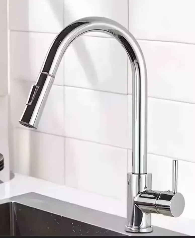 Grifo de cocina extraíble de acero inoxidable con ducha de doble chorro