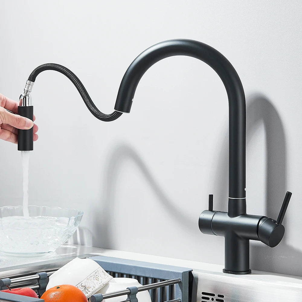 Grifo de Cocina con Ducha Extraíble y Filtro de Agua Integrado