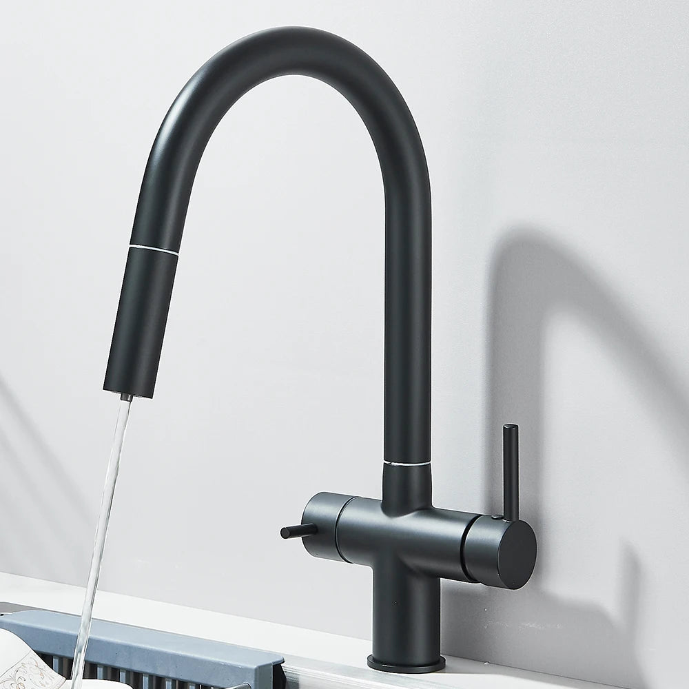 Grifo de Cocina con Ducha Extraíble y Filtro de Agua Integrado