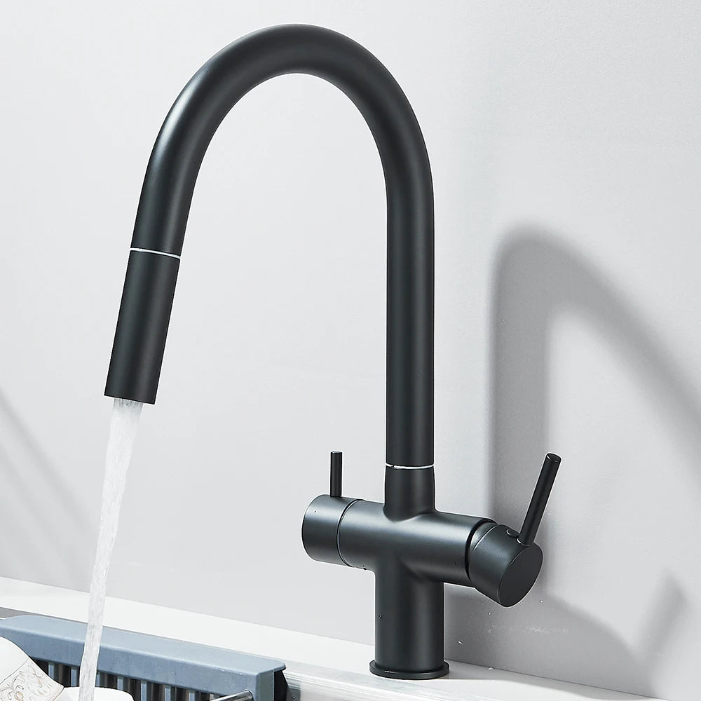 Grifo de Cocina con Ducha Extraíble y Filtro de Agua Integrado