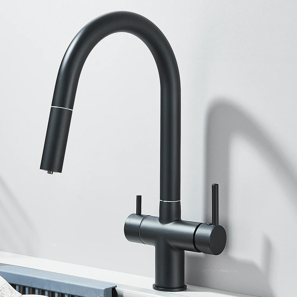 Grifo de Cocina con Ducha Extraíble y Filtro de Agua Integrado