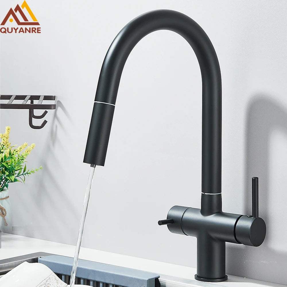 Grifo de Cocina con Ducha Extraíble y Filtro de Agua Integrado
