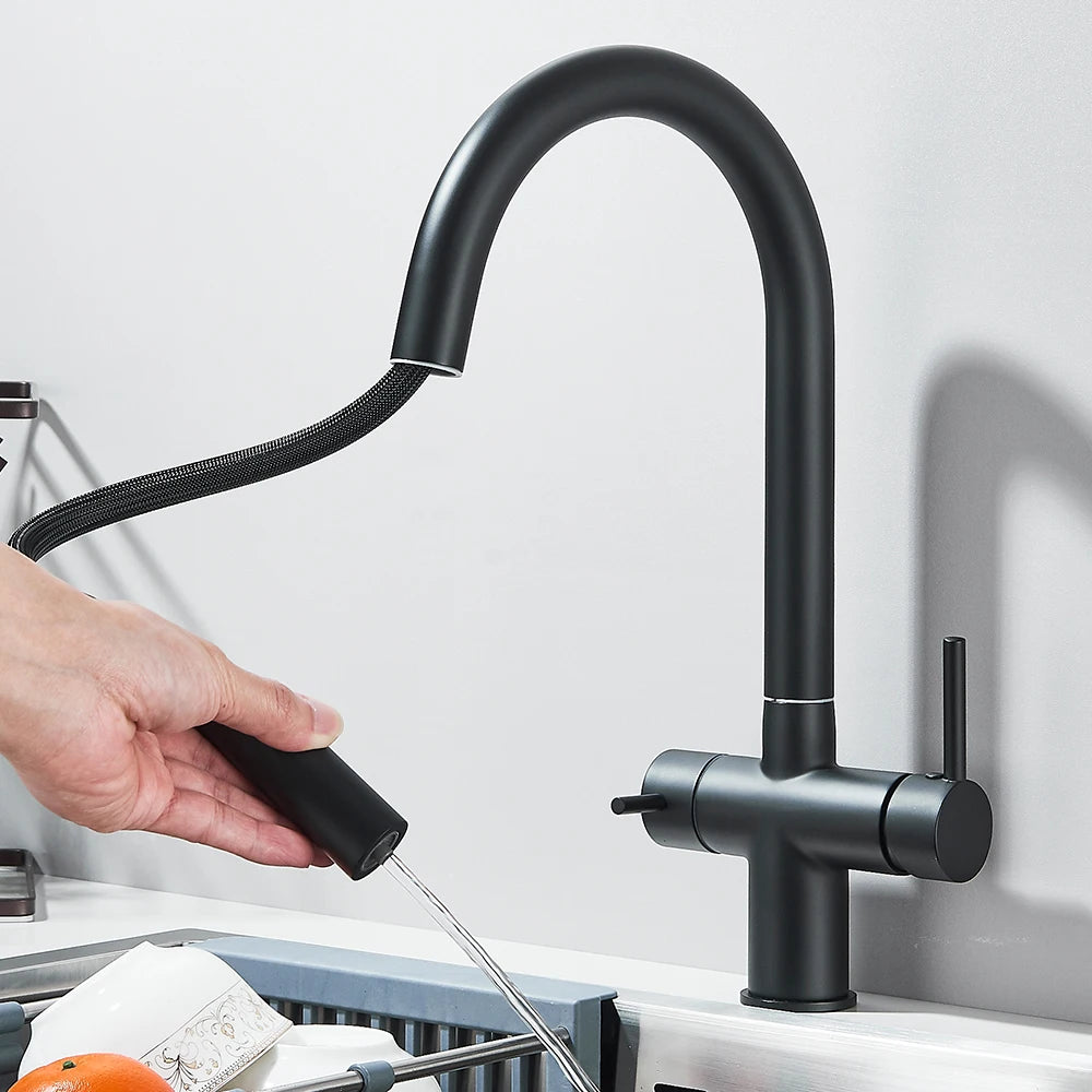 Grifo de Cocina con Ducha Extraíble y Filtro de Agua Integrado
