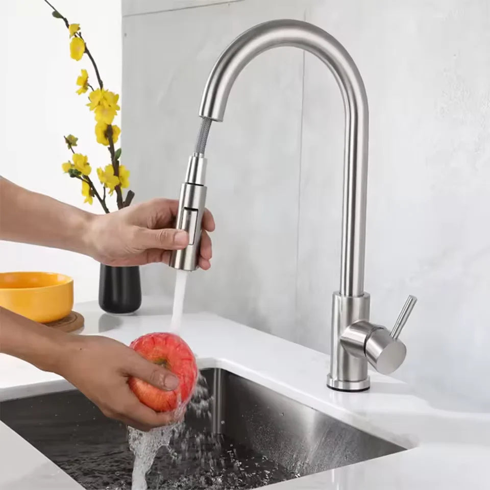 Grifo de cocina extraíble de acero inoxidable con ducha de doble chorro