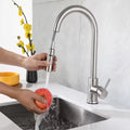 Grifo de cocina extraíble de acero inoxidable con ducha de doble chorro